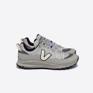 VEJA X ÉTUDES SHARK