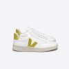 V-12 LEATHER WHITE LIQUOR